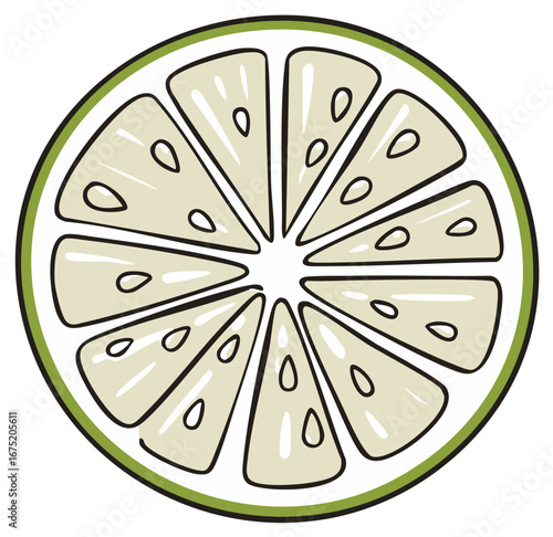 Green Lime Slice Illustration with Exposed Segments and Seeds, Fresh Citrus Fruit Graphic Design