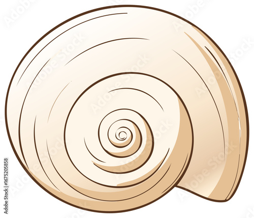 Illustration of a Seashell with a Swirled Pattern and Brown Outlines