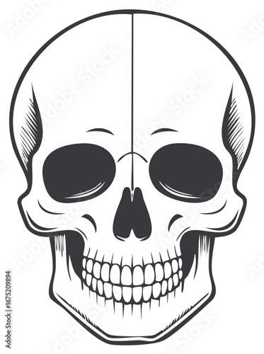 Stylized human skull front view with detailed teeth and eye sockets
