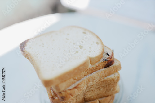 White bread that is covered in flies makes the bread unhealthy
