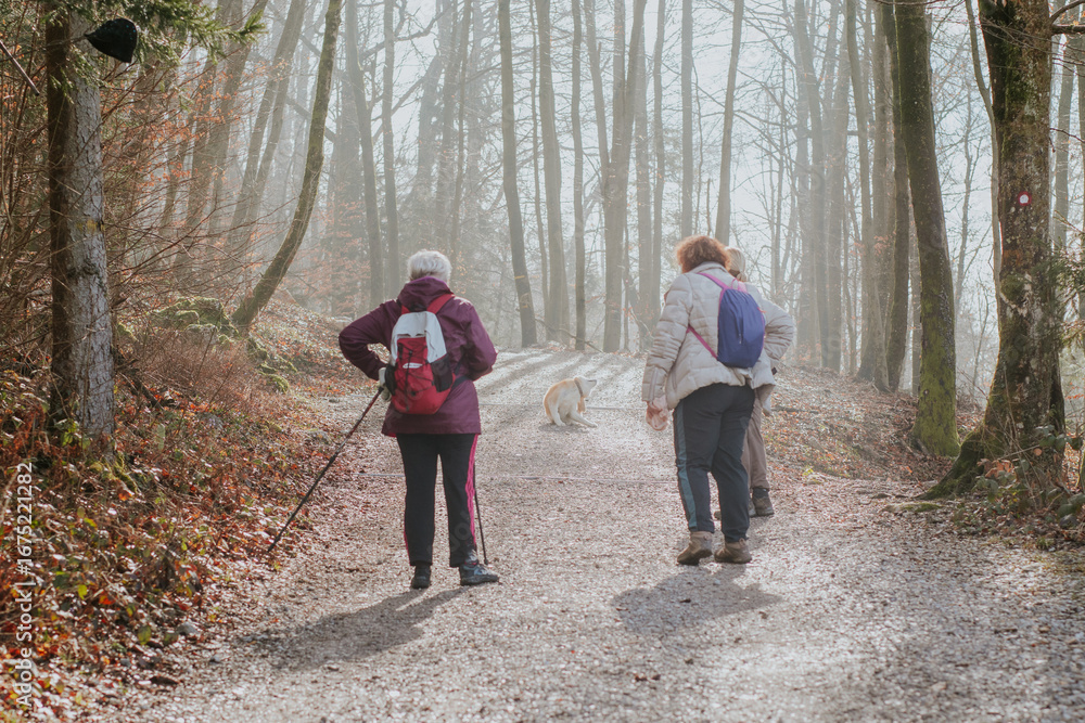 Fototapeta premium Misty autumn morning on Ra ica Hill above Ljubljana, Slovenia. Two hikers with poles and a golden retriever walk a leaf-strewn path, framed by beech forests, with an observation tower view of the Alps