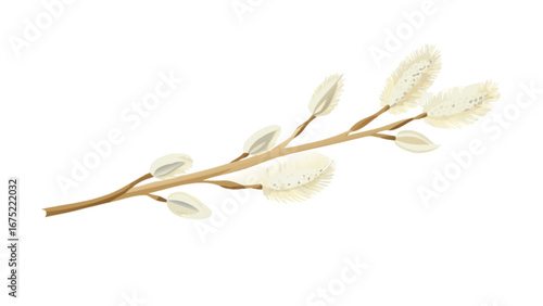 Watercolor pussy willow branch illustration for spring easter design and botanical nature art projects vector