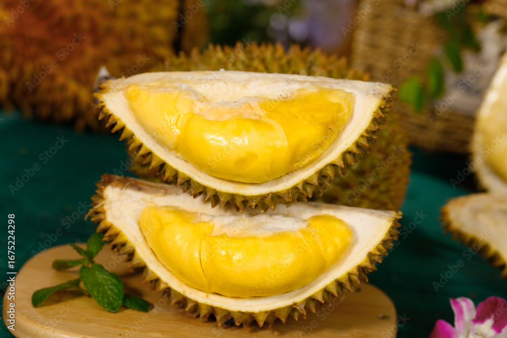 Fototapeta premium Fresh Golden Durian Fruit Cut Open Showing Creamy Yellow Pulp Inside Spiky Shell Tropical Asian Delicacy