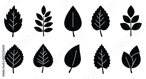 Collection of various black leaf silhouettes on white background