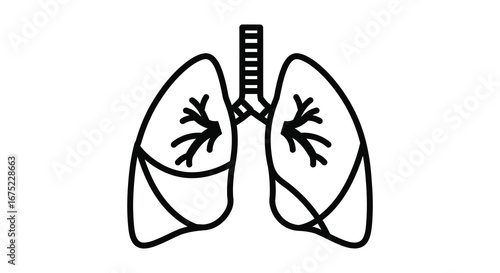 Human lungs with trachea and bronchi illustrated in simple line art style