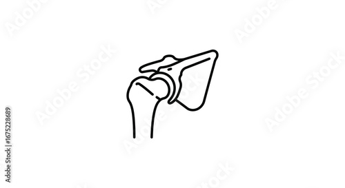 Human shoulder joint anatomy in simple line drawing