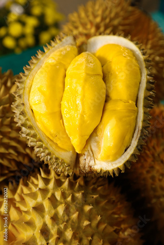 Fresh Golden Durian Fruit Opened Showing Creamy Yellow Flesh Thai Tropical Exotic Premium King of Fruits