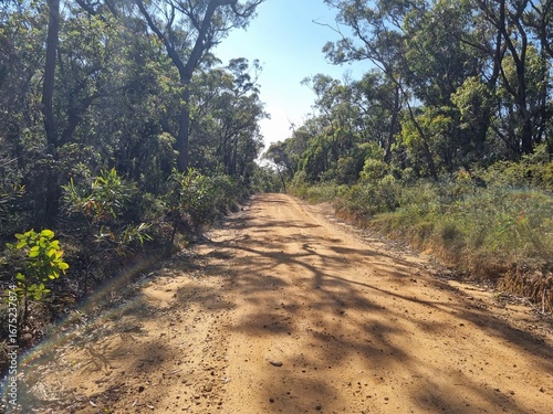 Gravel Road Through Bushland on Kings Tableland Road in the Blue Mountains