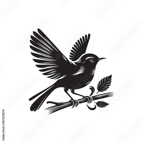 Tailor bird Vector (2).eps