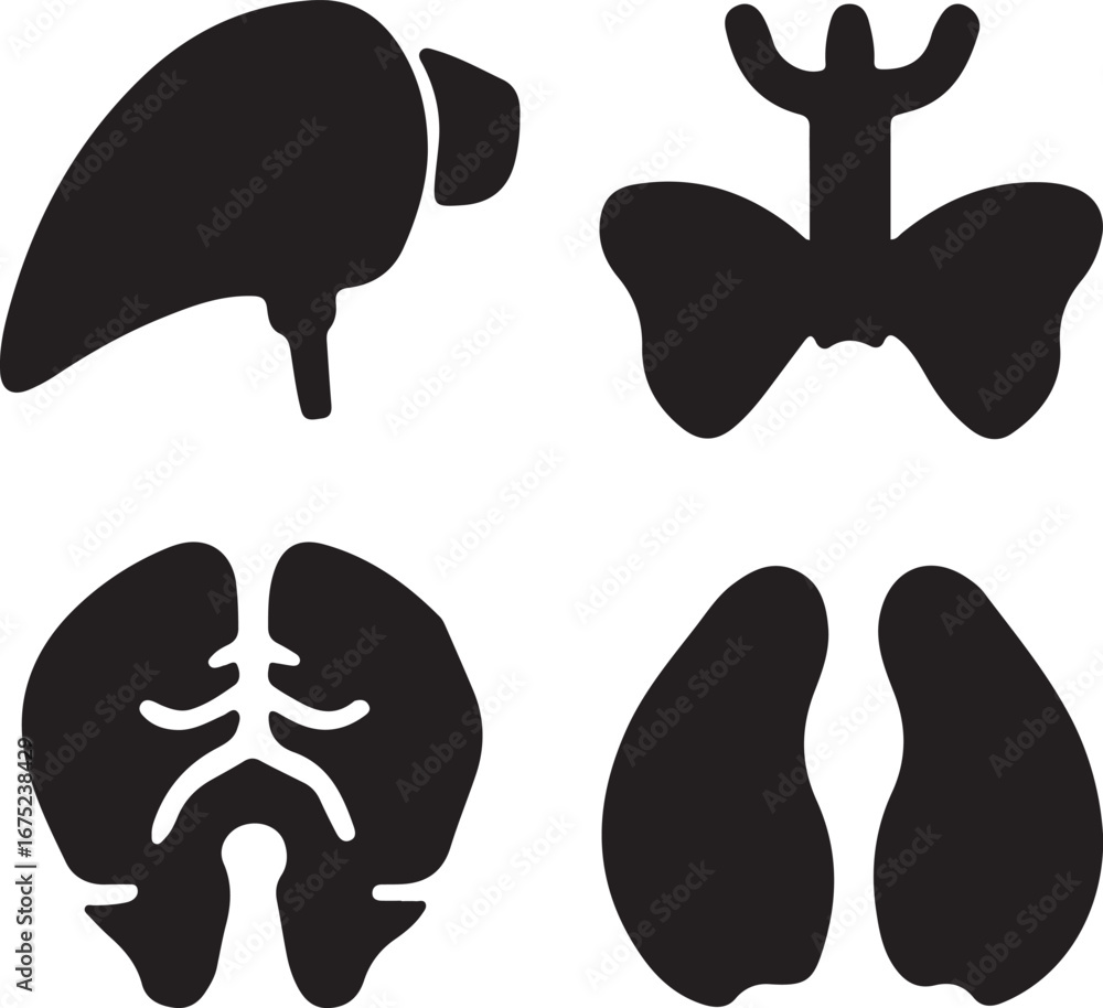 Set of four medical organ silhouettes silhouette

