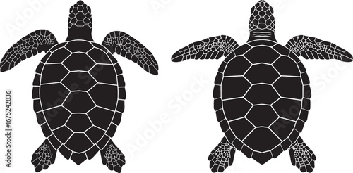 Two detailed black sea turtle silhouettes silhouette