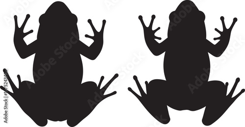 Two frogs in silhouette facing upwards