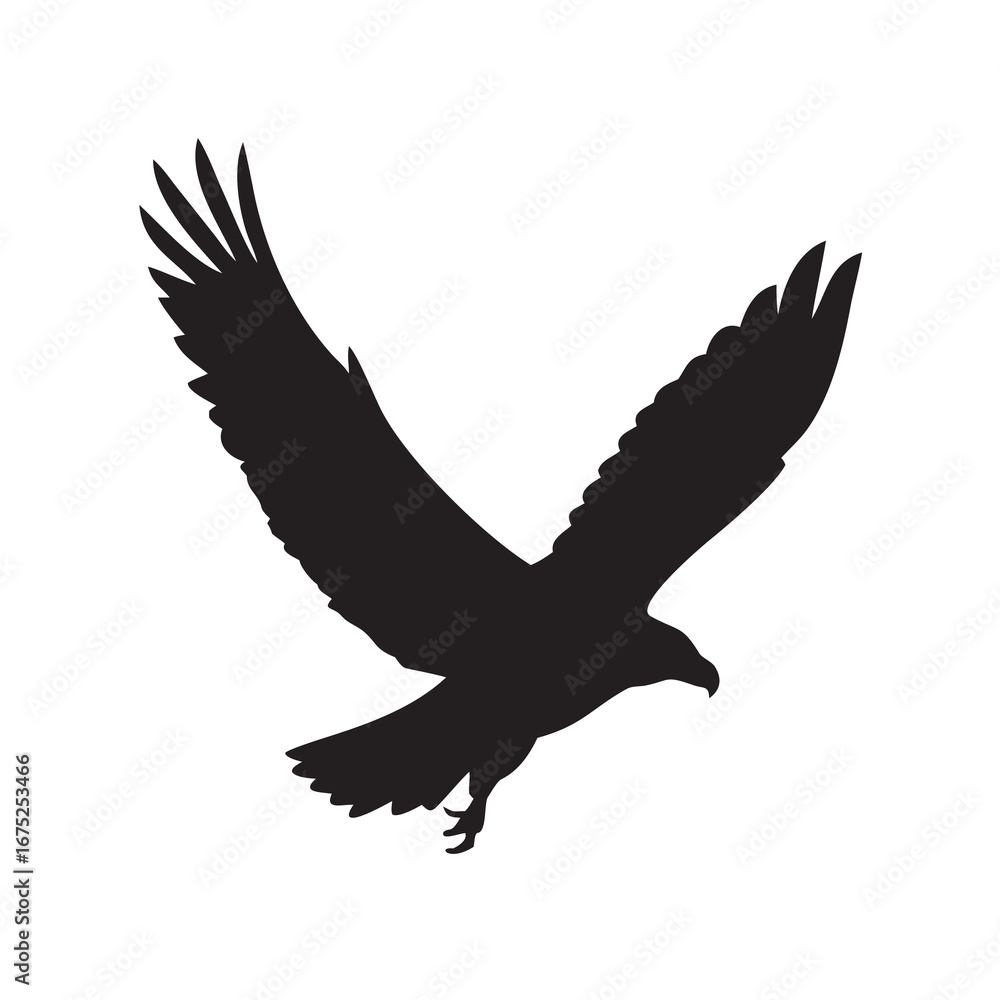 Obraz premium eagle vector illustration