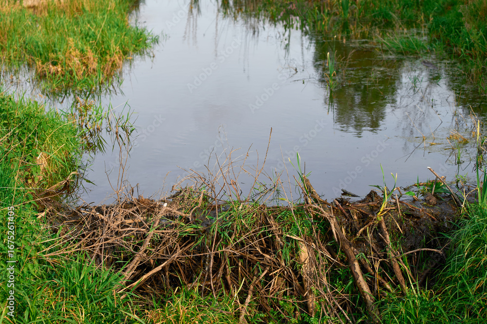 Obraz premium Wooden structure blocking water in a natural setting