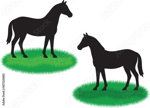 A beautiful silhouette of a domestic horse and its foal on a farm, isolated on a white background