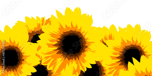 Sunflowers border vector illustration
