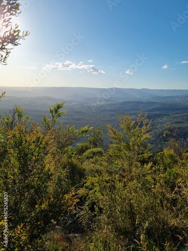 Cahill’s Lookout with Sunset Light over Blue Mountains, Australia