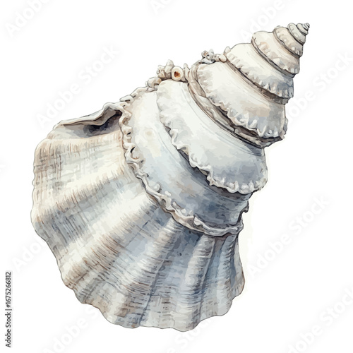 Seashell Necklace, watercolor illustration vector, isolated on a white background.