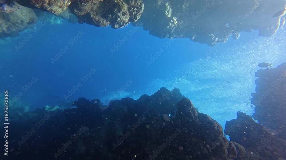 Snorkeling with the school of fish (Indo-Pacific sergeant - Abudefduf vaigiensis) and tropical coral reef. Underwater video with the fish and corals. Marine life and fish, travel footage.