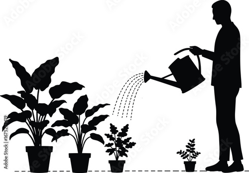 Silhouette of man watering multiple potted plants, indoor gardening care, houseplant maintenance, watering routine, healthy plant growth, home garden activity, green lifestyle concept.