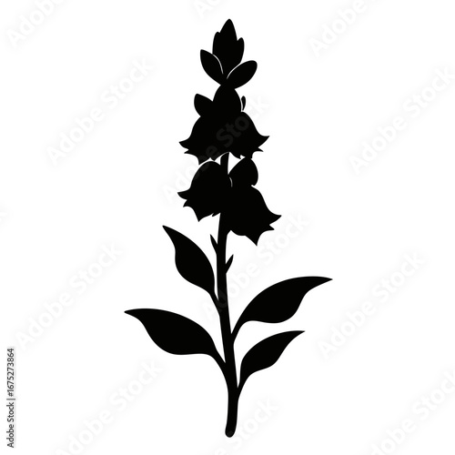 silhouette verbascum southern charm flower- vector on-white