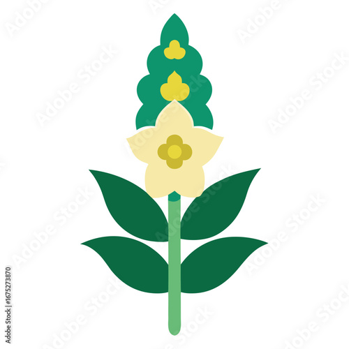  vector illustration verbascum southern charm flower  on white background