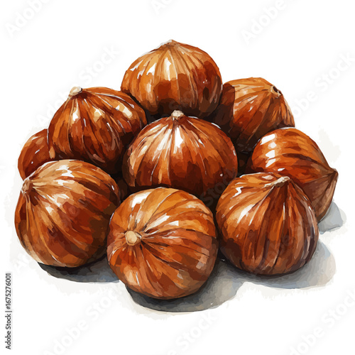 Roasted Chestnuts, watercolor painting vector, isolated on a white background.