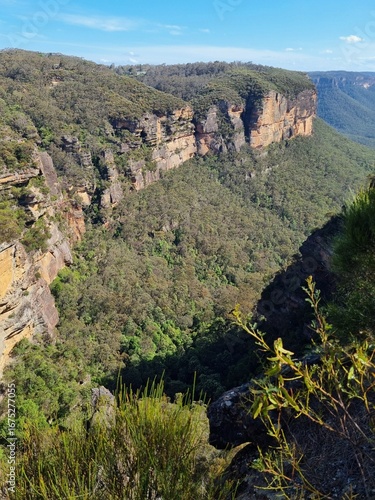 Panoramic View from Narrow Neck Plateau in the Blue Mountains