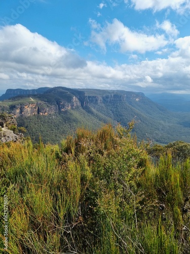 Cahill’s Lookout with Sunset Light over Blue Mountains, Australia