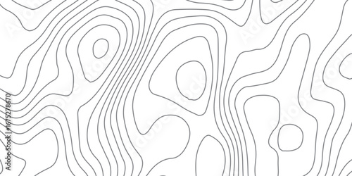 Abstract luxury topographic contour lines in black on white background, wavy map pattern with grid design, modern geography vector illustration