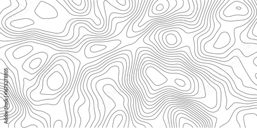 Minimal topography contour map design on clean white background, black wavy curve lines, elegant luxury geography grid pattern illustration
