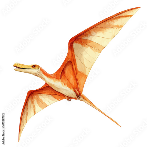 Pteranodon, watercolor painting vector, isolated on a white background.