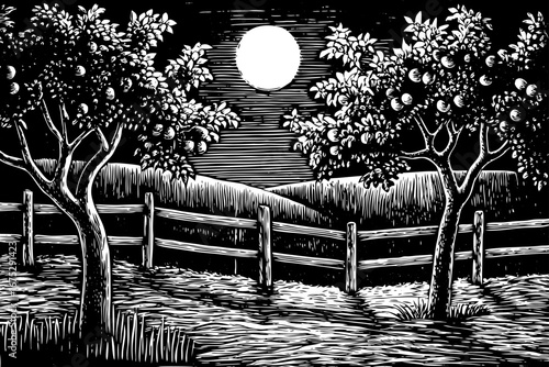 Fruit garden at night with apple trees, glowing moonlight, rustic fence and calm scenery black and white sketch