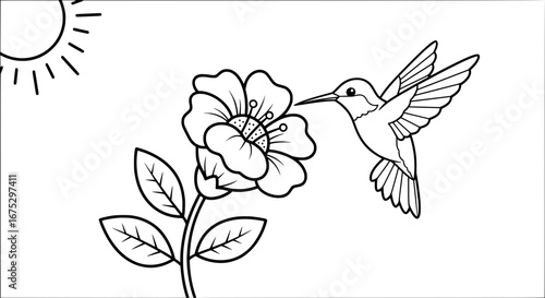 Hummingbird and flower with transparent background