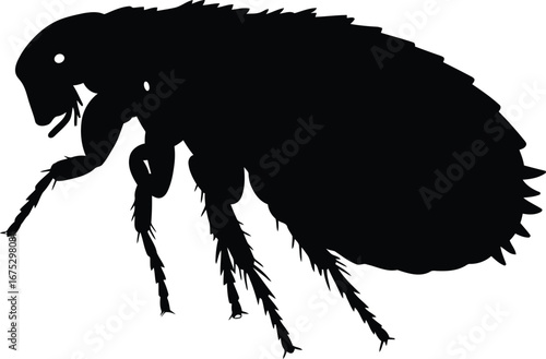 Silhouette of a flea insect macro detail clean vector art vector