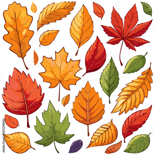 Set of autumn leaves vector illustration. Multicolored branches clipart for design.	