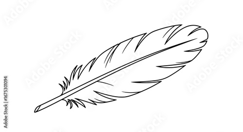 Black feather with transparent background