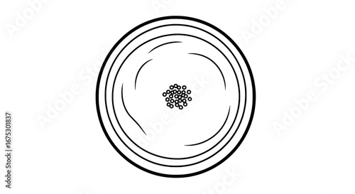 Cross section of tree trunk with transparent background