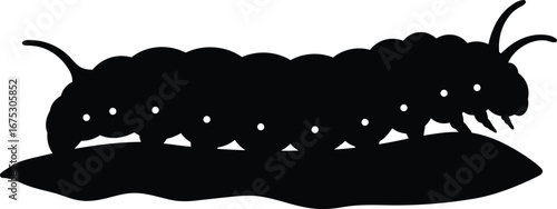 Caterpillar silhouette on leaf simple vector graphic insect macro life cycle stages vector