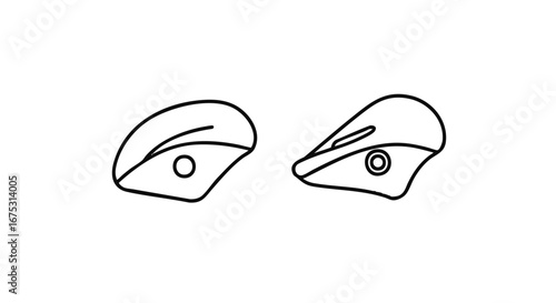 Set of two aggressive raptor eyes in a clean line art style. Vector illustration for creative design and mascot concepts