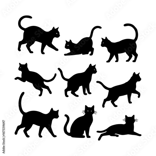 collection of cat animal silhouette illustrations