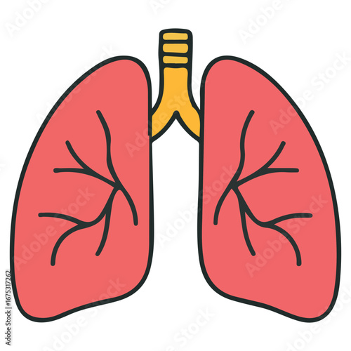Fast breathing