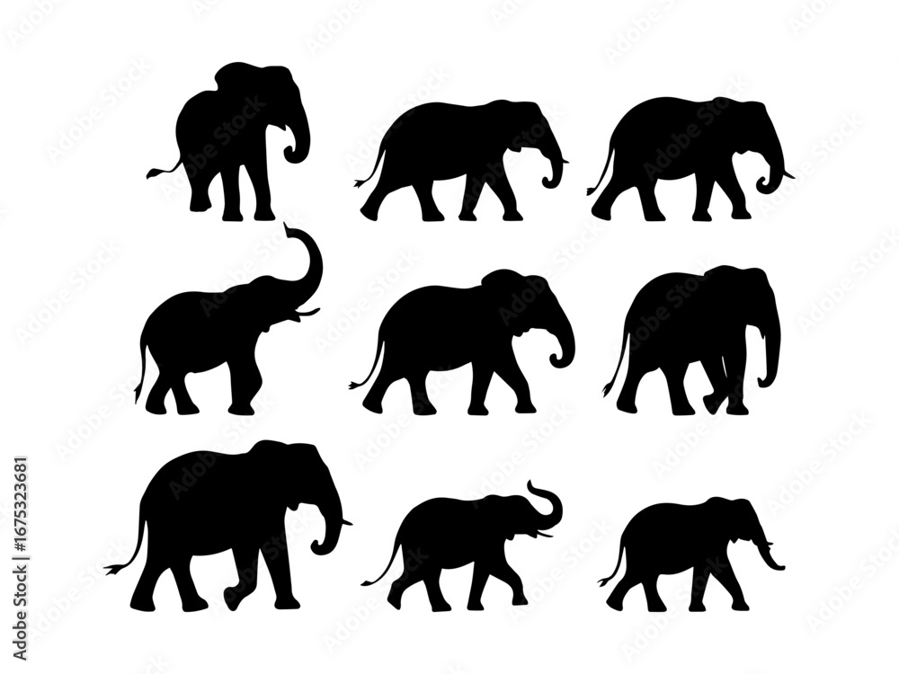 Obraz premium elephant silhouette illustration collection
