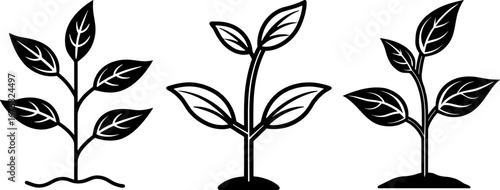 Growing plant set, Set of growing plants, growing plant collection, Vector of growing plants, growing plant silhouette, growing plant isolated on white background