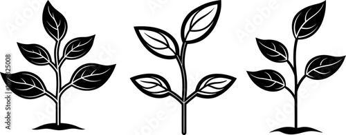 Growing plant set, Set of growing plants, growing plant collection, Vector of growing plants, growing plant silhouette, growing plant isolated on white background