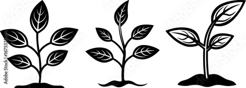 Growing plant set, Set of growing plants, growing plant collection, Vector of growing plants, growing plant silhouette, growing plant isolated on white background
