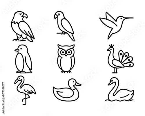 Outline illustrations of various birds including eagle, parrot, owl, and more in simple style