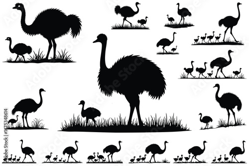 Black silhouettes of ostriches and chicks in grass 2