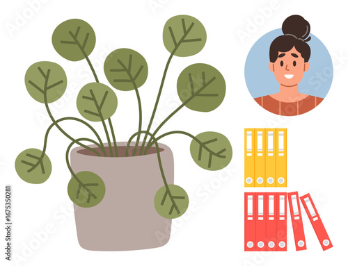 Potted plant with round leaves in a beige pot, smiling woman portrait in a circle, stack of colorful file folders. Ideal for workspace, productivity, organization, greenery, simplicity, creativity
