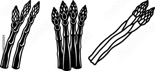 Asparagus set, Set of asparagus, asparagus collection, Vector of asparagus, asparagus silhouette, asparagus isolated on white background